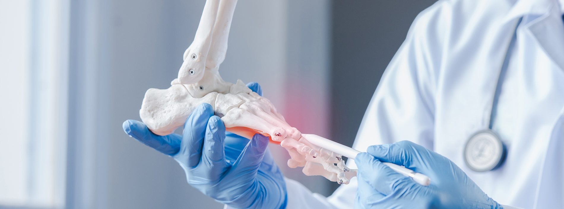 A medical professional in a white coat and blue gloves is holding a human skeleton, which appears to be a teaching model or a prop for educational purposes.